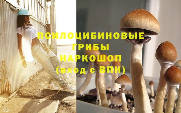 соль курить ск Нестеровская