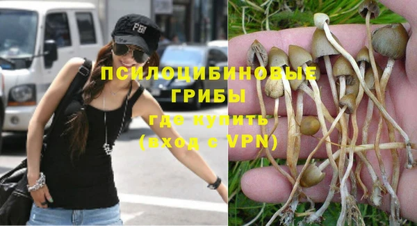 гидропоника Белоозёрский