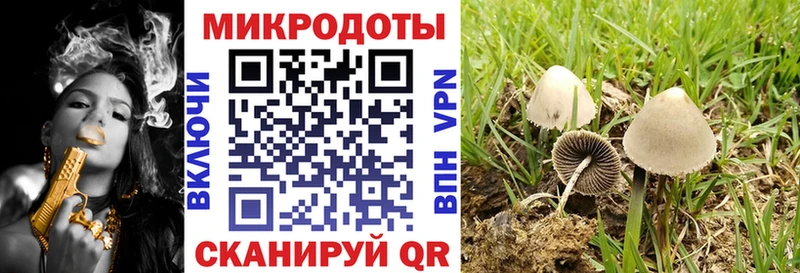 Псилоцибиновые грибы Psilocybe  ОМГ ОМГ вход  Клинцы 