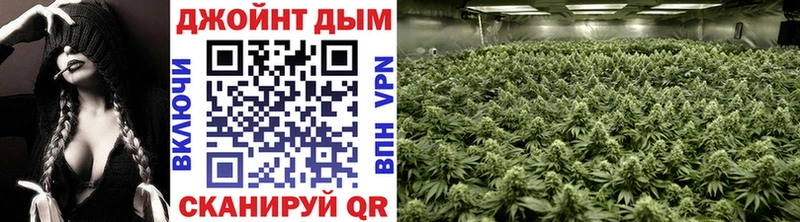 наркошоп  Клинцы  Конопля планчик 
